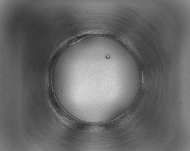 X0000073870348200609071705