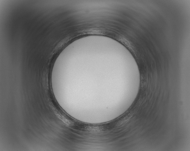 X0000073870349200609071705