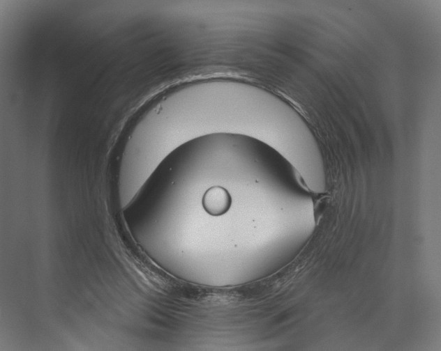 X0000073870350200609071705