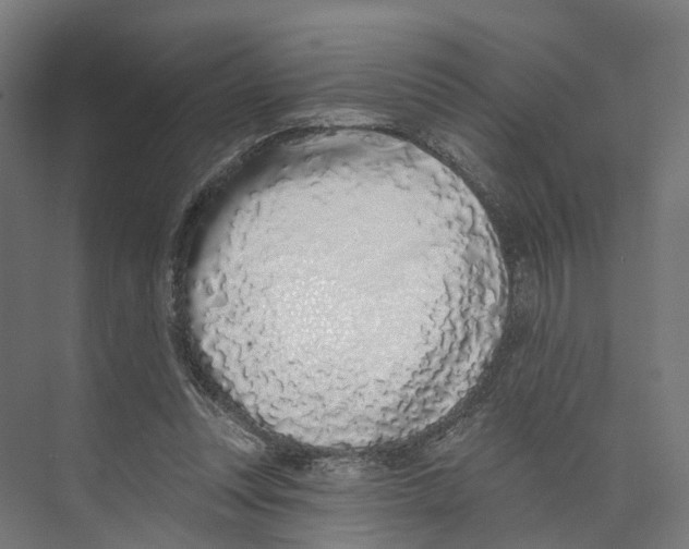 X0000073870351200609071705