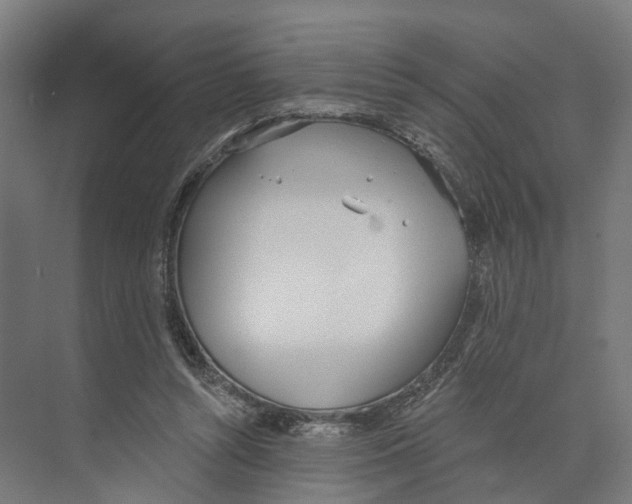 X0000073870352200609071705