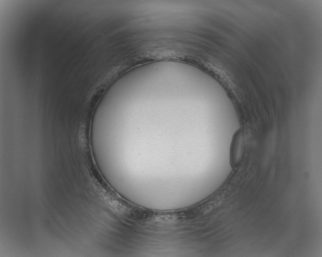 X0000073870353200609071705