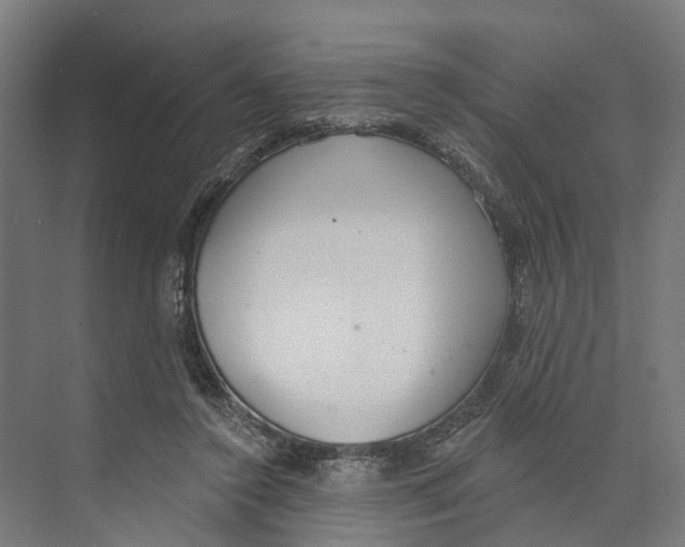 X0000073870356200609071705