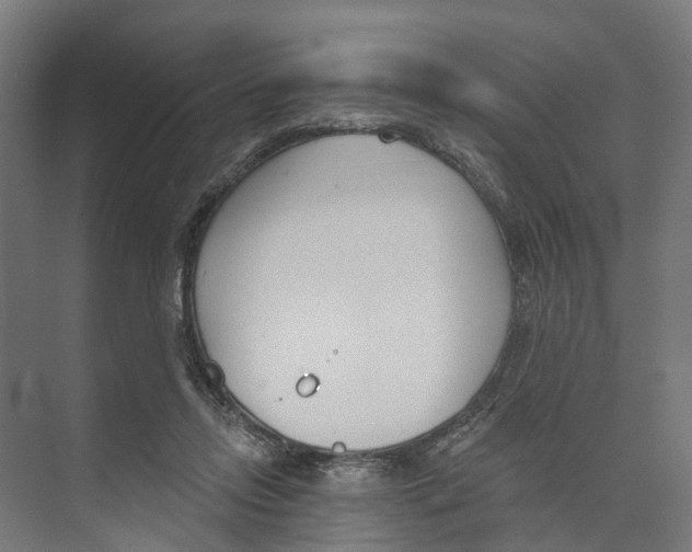 X0000073870358200609071705