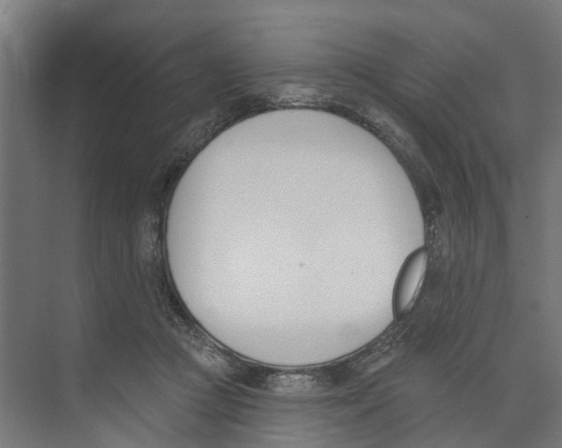 X0000073870361200609071705