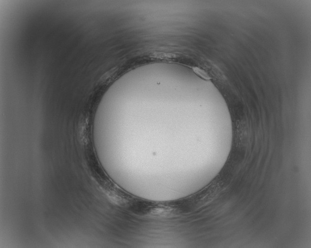 X0000073870364200609071705