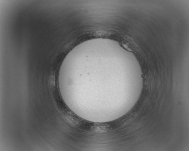 X0000073870368200609071705