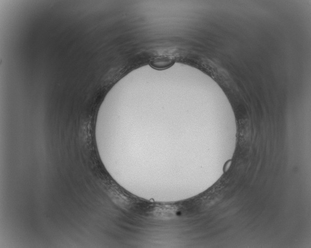 X0000073870369200609071705