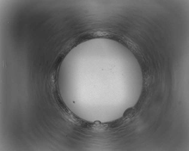 X0000073870373200609071705