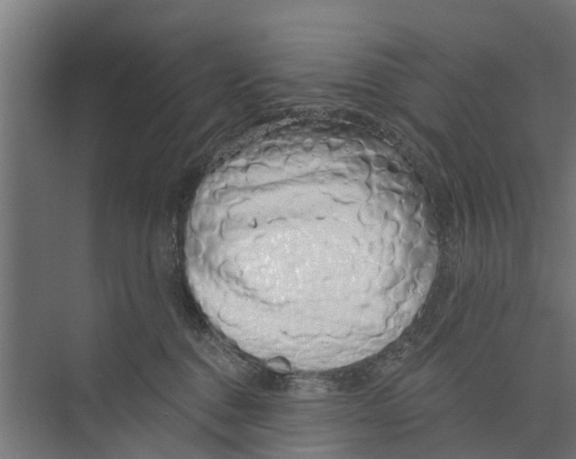 X0000073870376200609071705