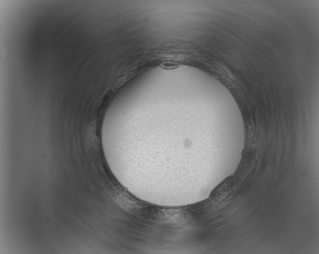 X0000073870377200609071705