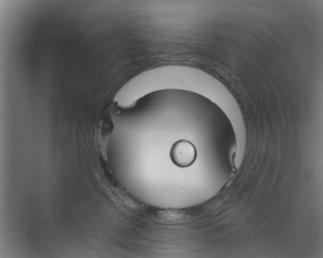 X0000073870380200609071705