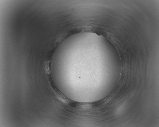 X0000073870383200609071705