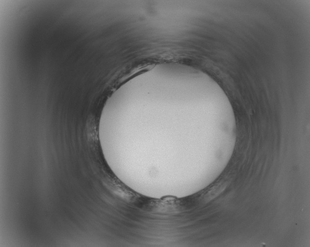 X0000073870384200609071705