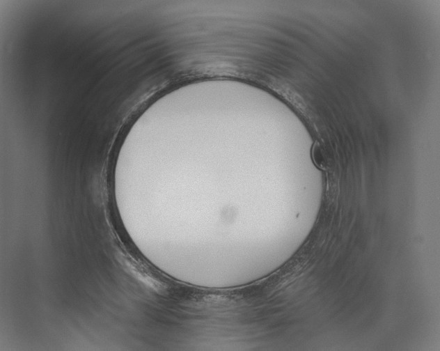 X0000073870390200609071704