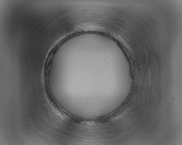 X0000073870391200609071704