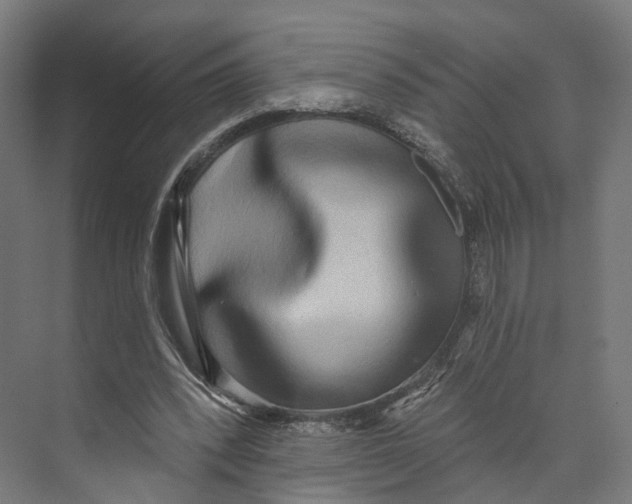 X0000073870392200609071704