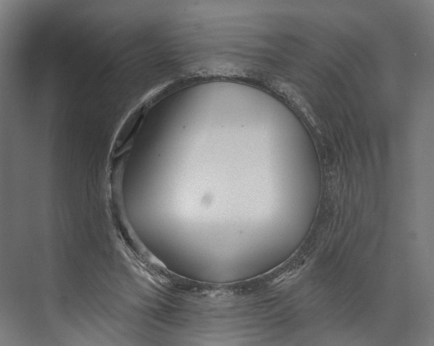 X0000073870395200609071704