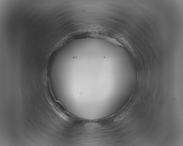 X0000073870397200609071704