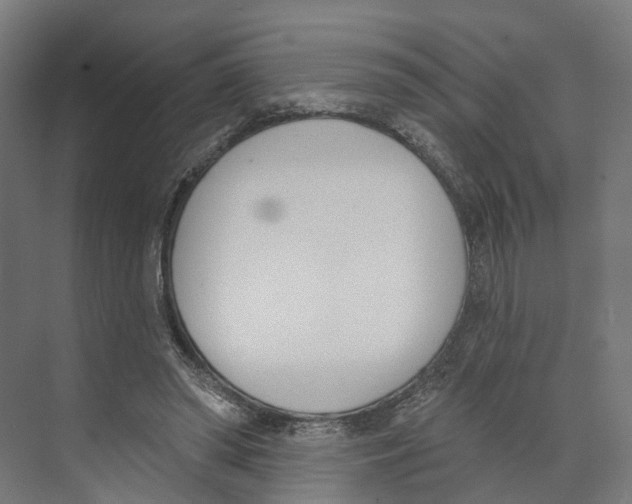 X0000073870398200609071704