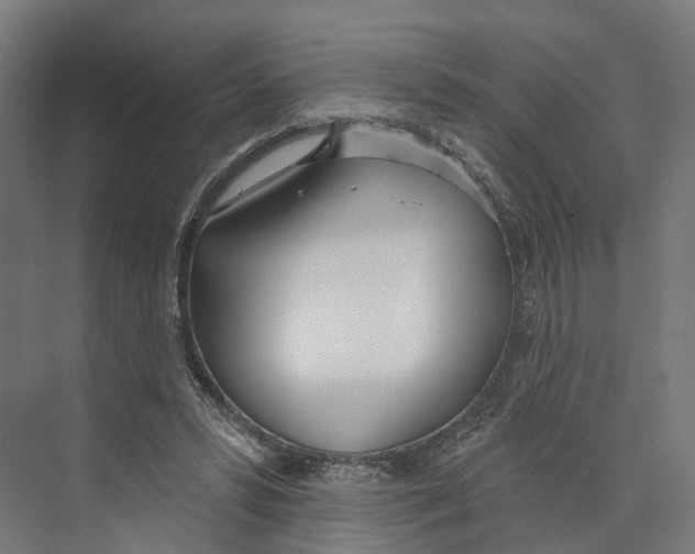 X0000073870399200609071704