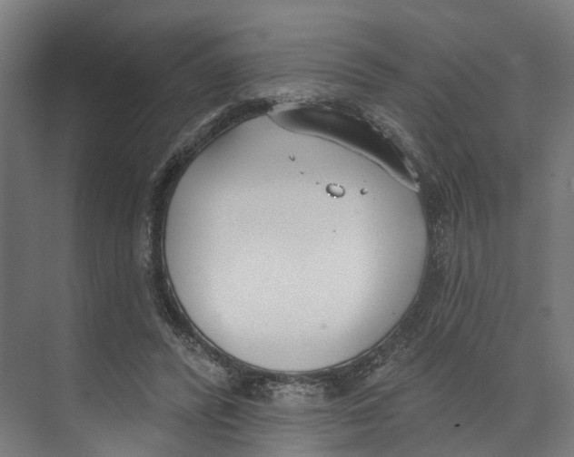 X0000073870400200609071704