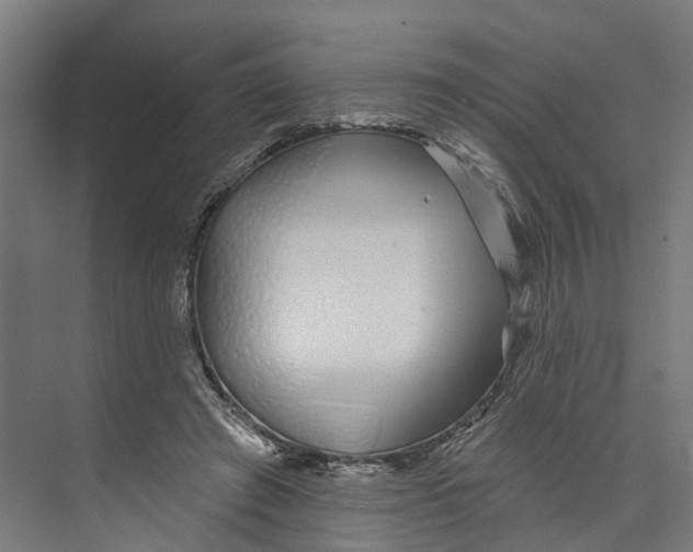 X0000073870401200609071704