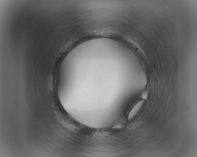 X0000073870403200609071704