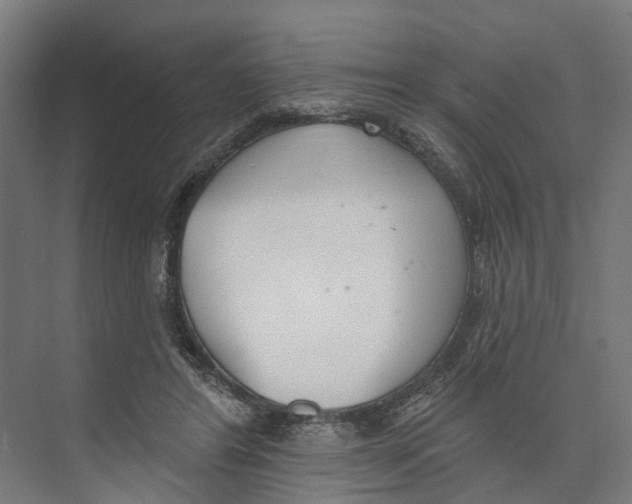 X0000073870404200609071704