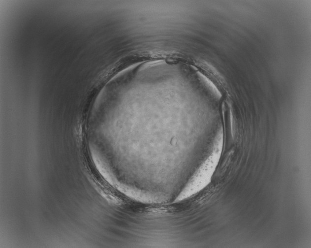 X0000073870405200609071704