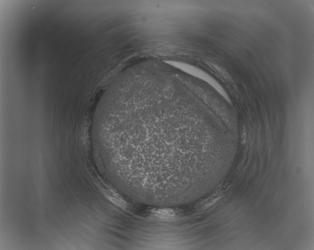 X0000073870409200609071704