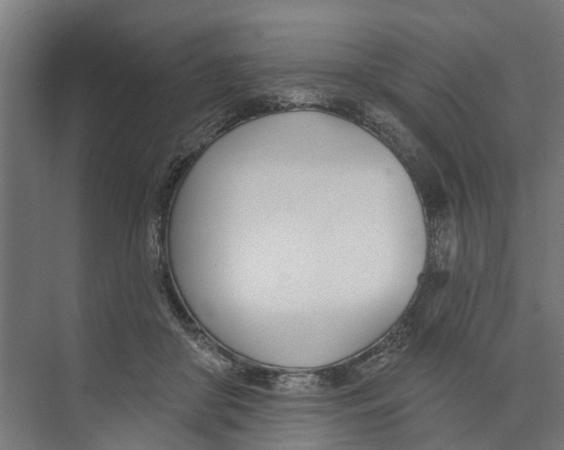 X0000073870410200609071704