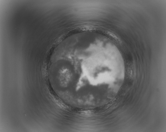 X0000073870411200609071704