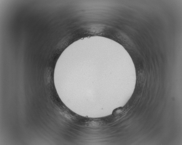 X0000073870412200609071704