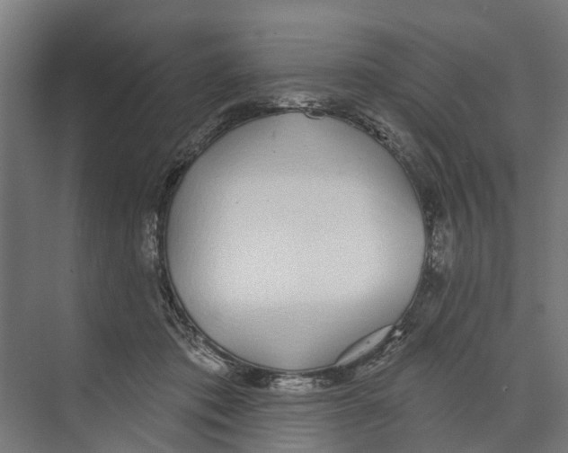 X0000073870413200609071704