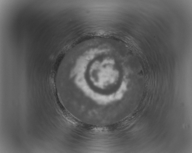 X0000073870415200609071704