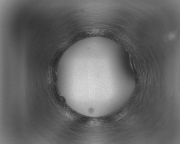 X0000073870416200609071704