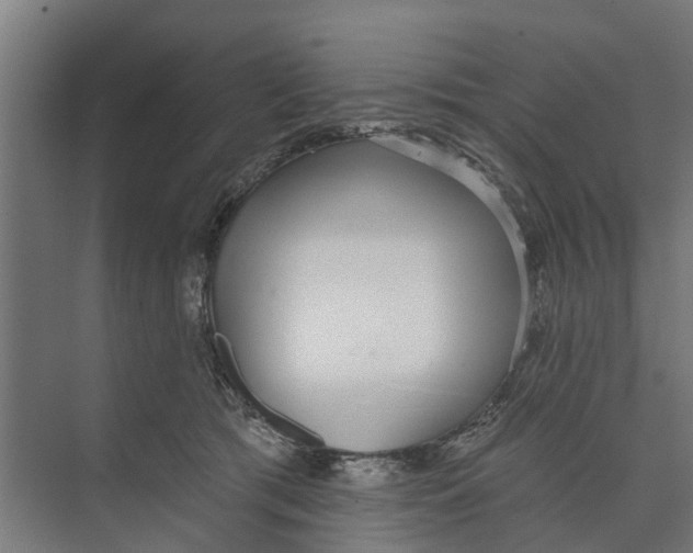 X0000073870417200609071704