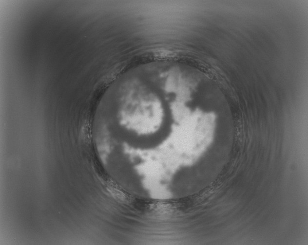 X0000073870419200609071704