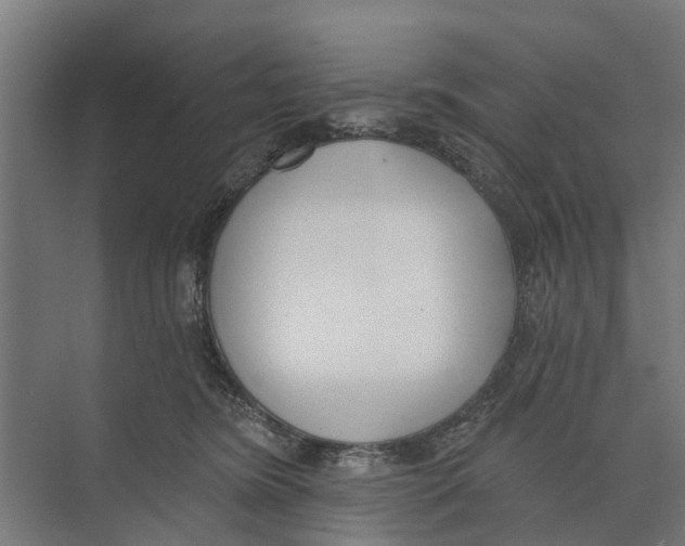 X0000073870420200609071704