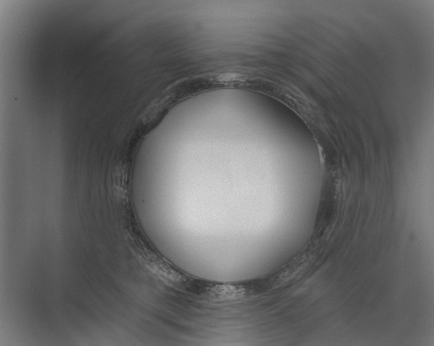 X0000073870421200609071704