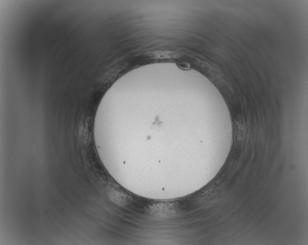 X0000073870422200609071704