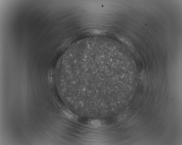 X0000073870423200609071704