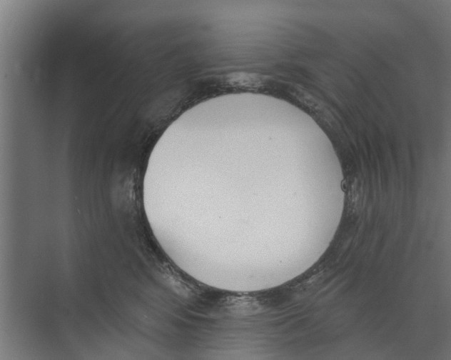 X0000073870424200609071704