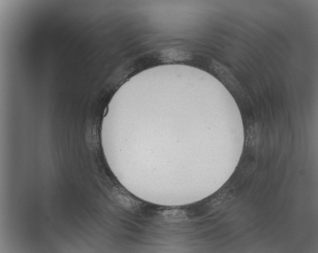 X0000073870426200609071704