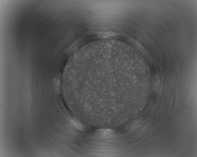 X0000073870427200609071704