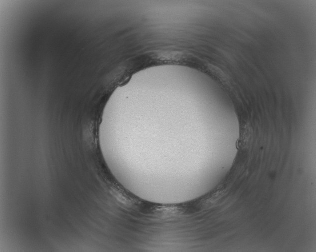 X0000073870428200609071704