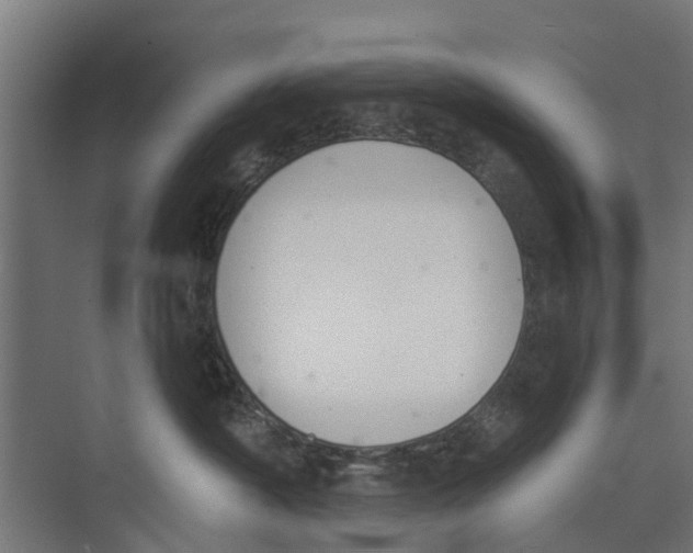 X0000073870430200609071704