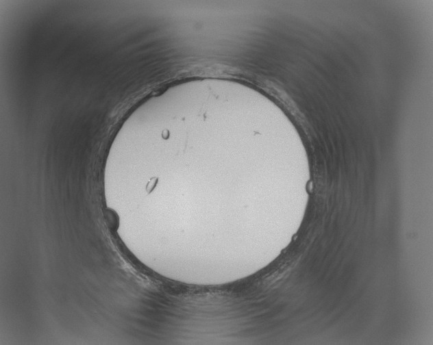 X0000073870433200609071703