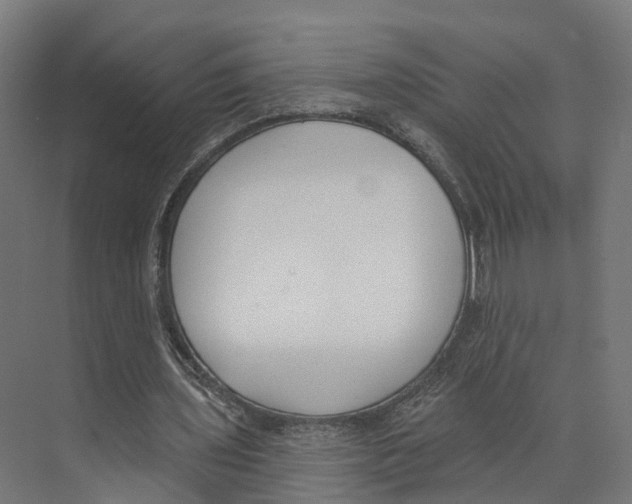 X0000073870435200609071703